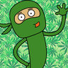 Green Ninja