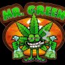 Mr.Green