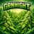 GREEN_HIGHT_SP