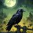 BLACKCROW.CC