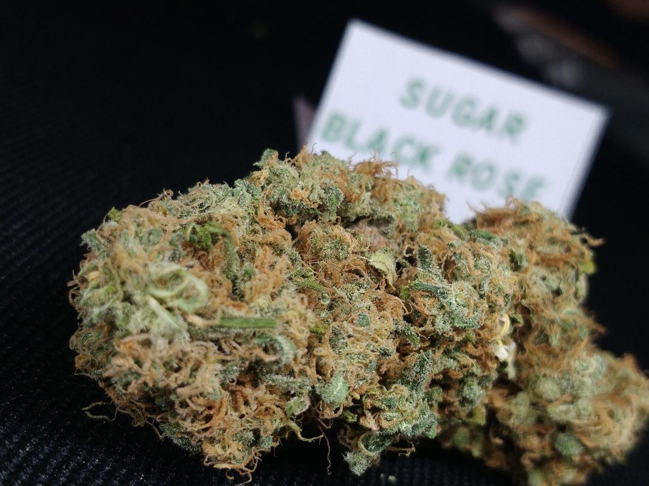 Sugar Black Rose